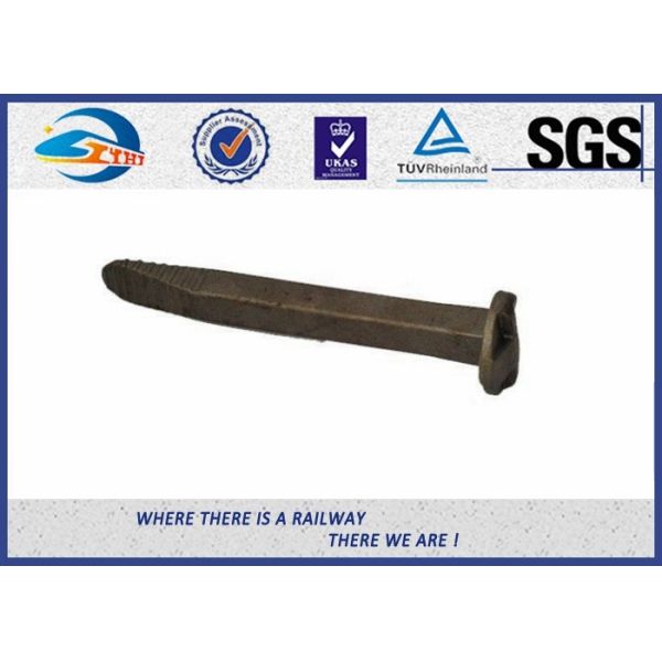 Стандартный простый винт корпуса спайка следа железной дороги берет ранг на острие стали углерода 4,6