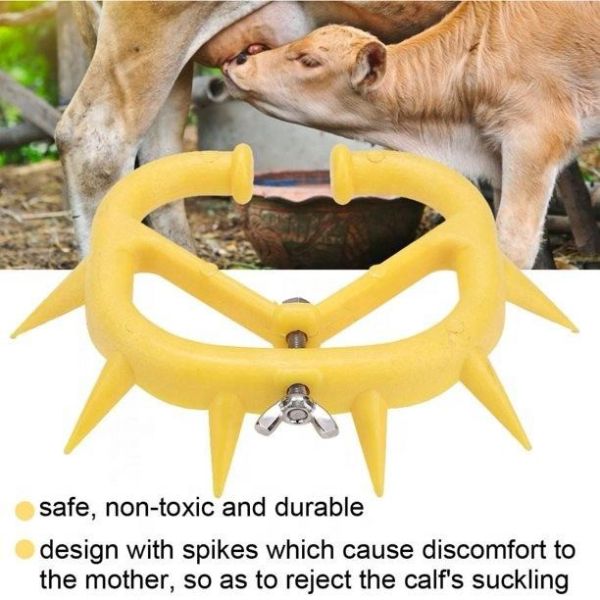 Veterinary Cattle Weaning Livestock Accessories Plastic Calf Weaner