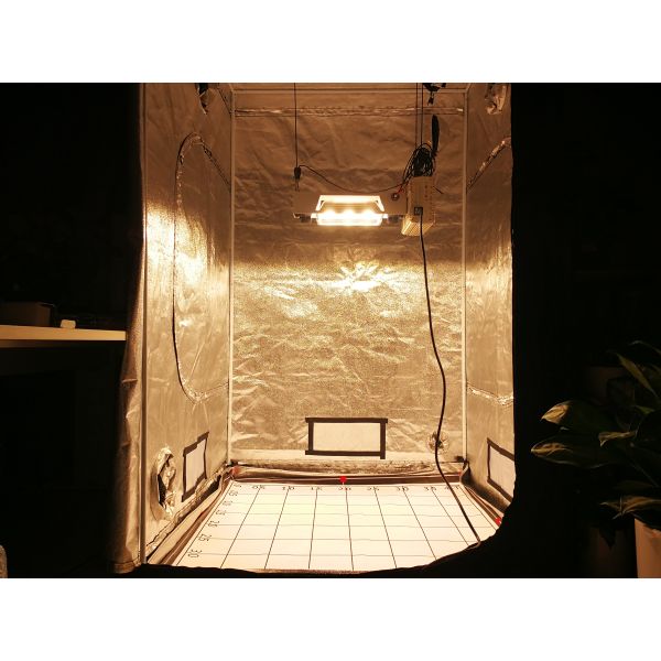 РАВЕНСТВО воздуха 1000W плюс полный светильник спектра CMH для парника