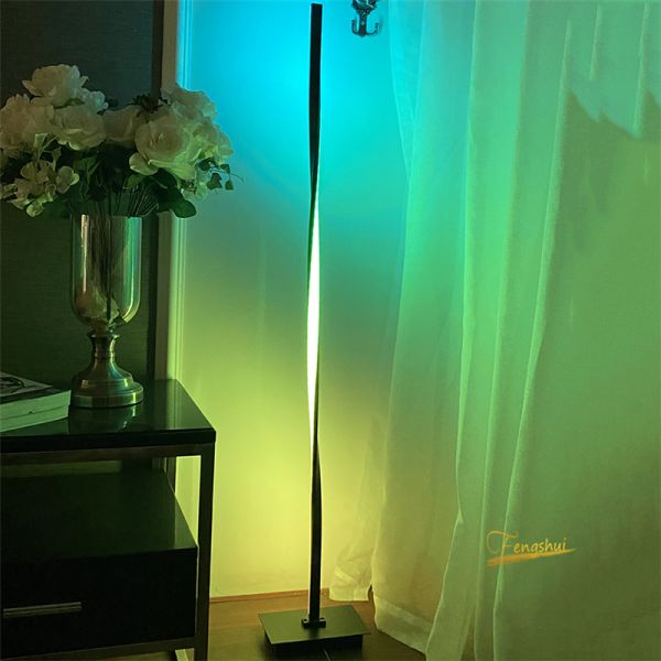 Modern LED Floor Lamps Lighting Living Room Floor Lamp Bedroom Bedside Dimming corner floor lamp(WH-MFL-02)