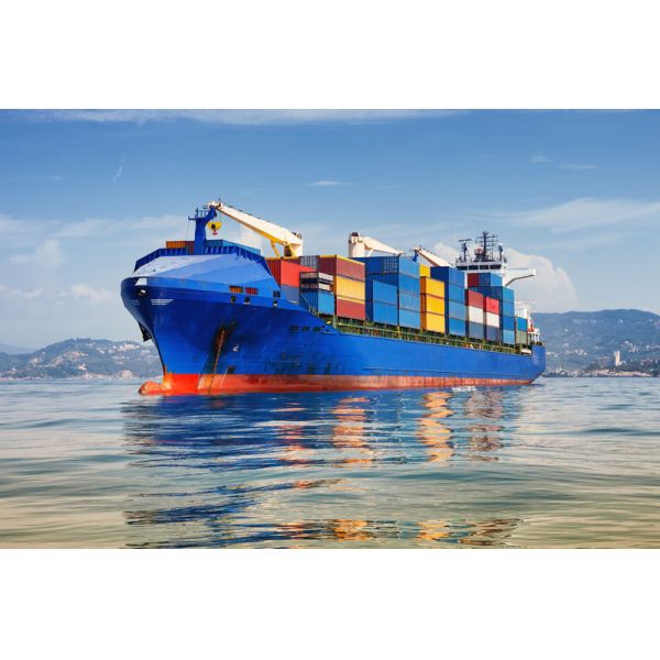 DDP China Sea Freight Services Global Sea Freight China To Europe America