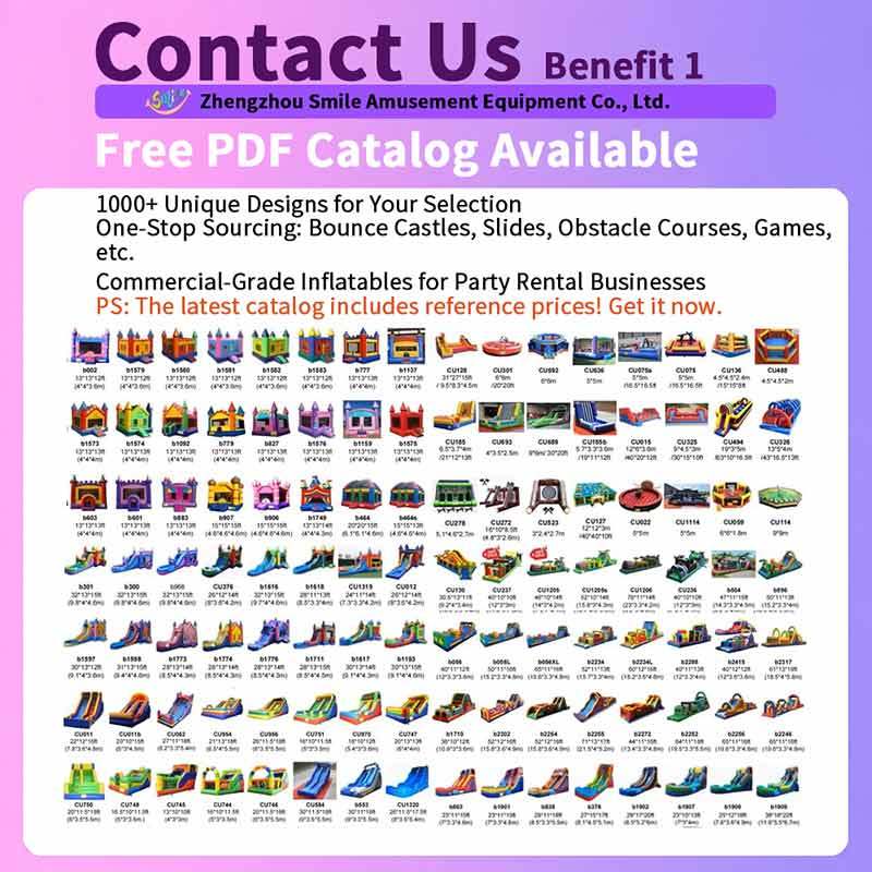 Commercial Grade Pink Princess Inflatable Bounce House Slide Combo Dream Castle Theme Party Rental Bouncer