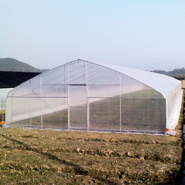 High Strength Agricultural Poly Tunnel Tomato Greenhouse 5*15m 17*50ft