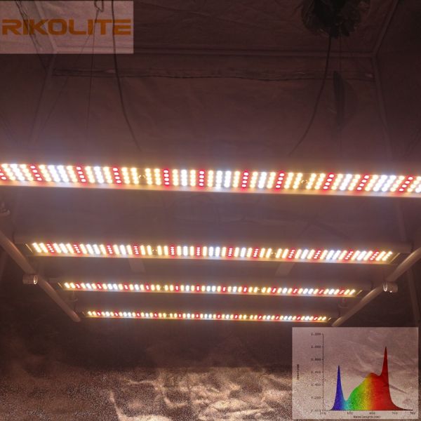 2835SMD LED 240W Full Spectrum Indoor Plant LED Grow Lights