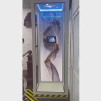 Home Hydraulic Lift For Villas Naked Cabin