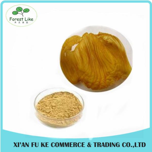 Chinese Traditional Medicine Stomachic and Aid Digestion Function Chicken's Gizzard Membrane Extract