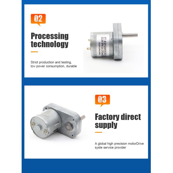 FT-65FGM3530 Flat Gear Motor 24V 12V High Torque Low Rpm DC Motor