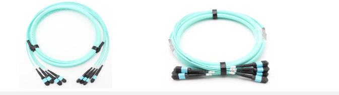 48F(4x12) MTP OM3 Fiber Optic Turnk Cable