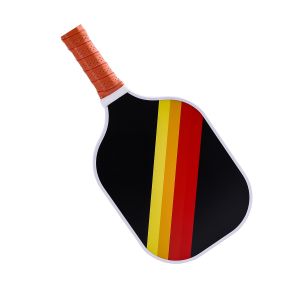 Complete Pickleball Set For Adults With 2 Fiberglass Paddles 4 Outdoor Balls And Carry Case