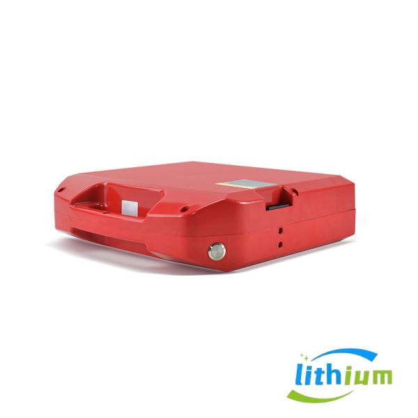 Factory Price Red Forklift LiFePO4 Battery Red Lithium Battery 24V 40ah