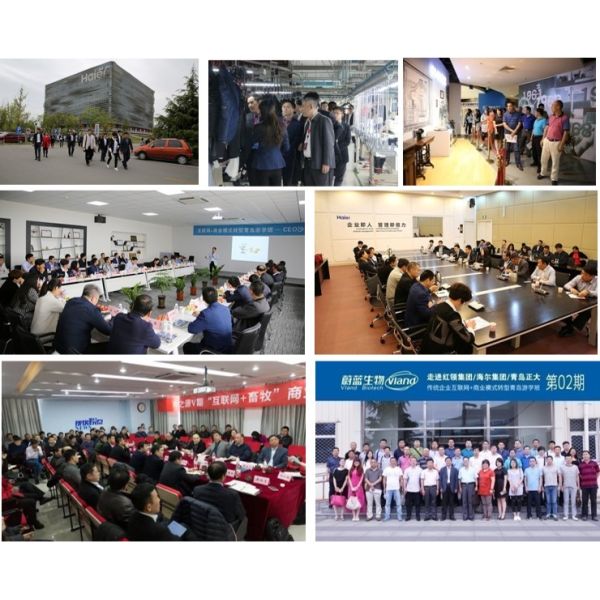 KDN Biotech (Shanghai) Co., Ltd.