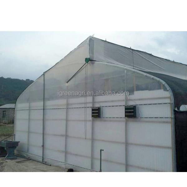 Vegetable Cultivation Plastic Tunnel Greenhouse 12m Width Single Layer