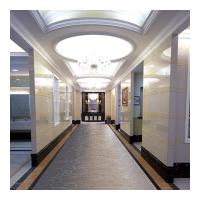 Alfombra de lujo 100% del polipropileno de Wilton Woven Carpet del pasillo