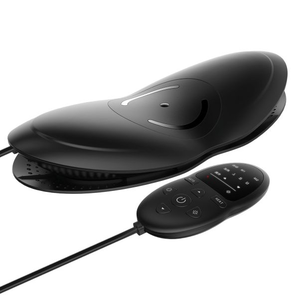 Thérapie chaude arrière lombaire de taille de compresse de Massager de