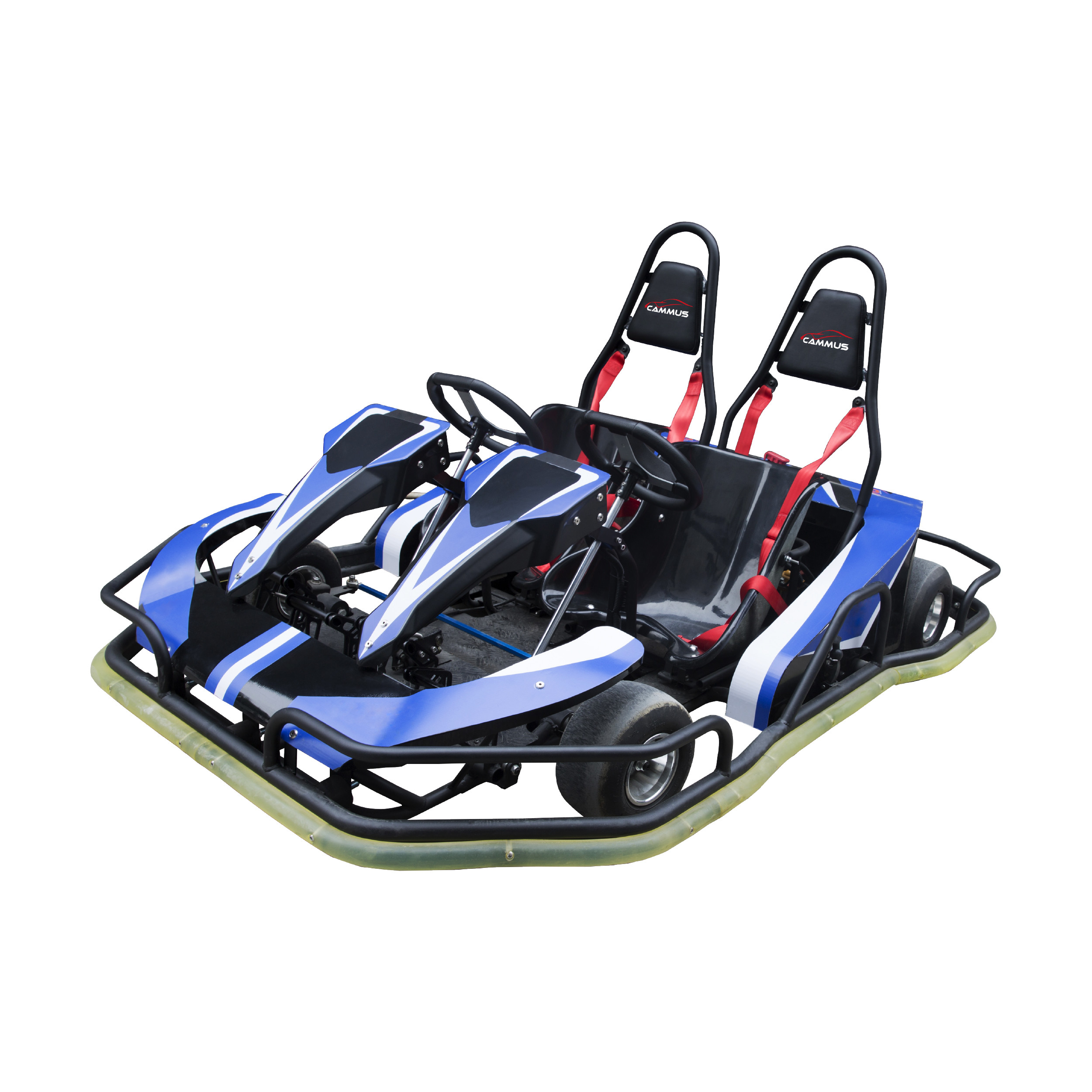 175Kg экспресс прохождение аэропортовых формальностей 2 Seater идет Kart для взрослых 2010*1550*590 Mm