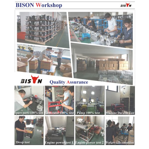 Noiseless Low fuel Consumption electric start diesel generator portable silent