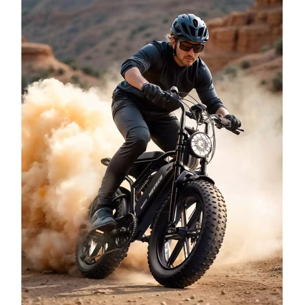 Adult Electric Bike 250W for Motor 48V 15Ah Built-in Battery 60 Miles Range 25km/h 20