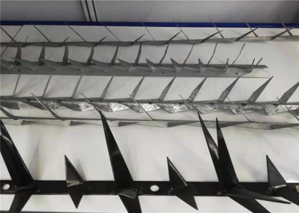 Sus Hot Dipped Galvanized Security Spikes For Walls And Fences Anti Climb