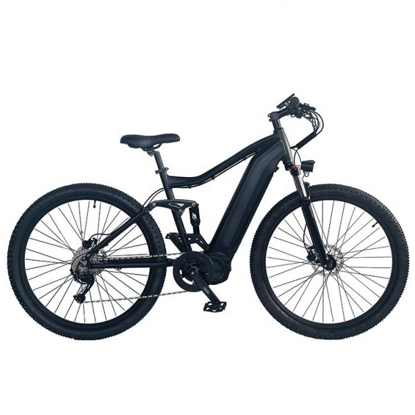Central Motor Full Suspension Aluminum Alloy Frame 29 Inch 1000W Electric Mountain Bike