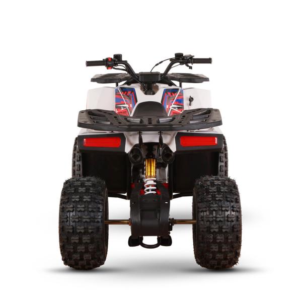 CE Certified Gas Powered Kids Quad Bike 110cc 125cc ATV Four Wheeler with Chain Drive
