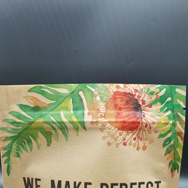 CTP Printing Compostable Packaging Bags Brown Kraft Paper Stand Up Pouch OEM