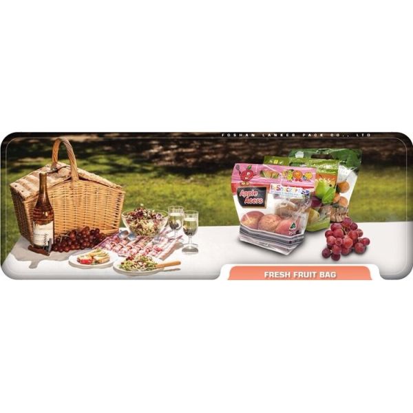 Stand Up Pouch Zipper Fruit Packaging Bags Custom Plastic With Handle Holes