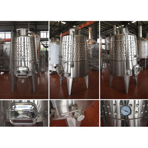 500L 1000L Stainless Steel 304 Fruit Wine Fermentation Tank