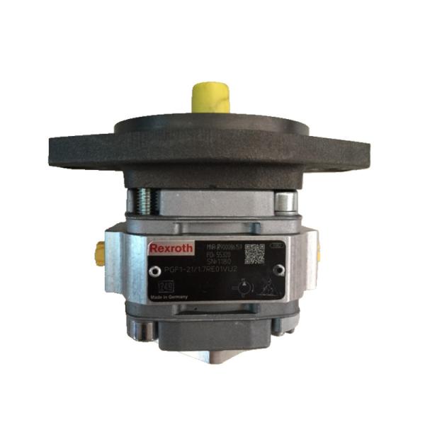 レックスロスギアポンプ PGF1-21 1.7RE01VU2 シルバーと黄色 高効率低ノイズ 長寿命 鋳鉄電気