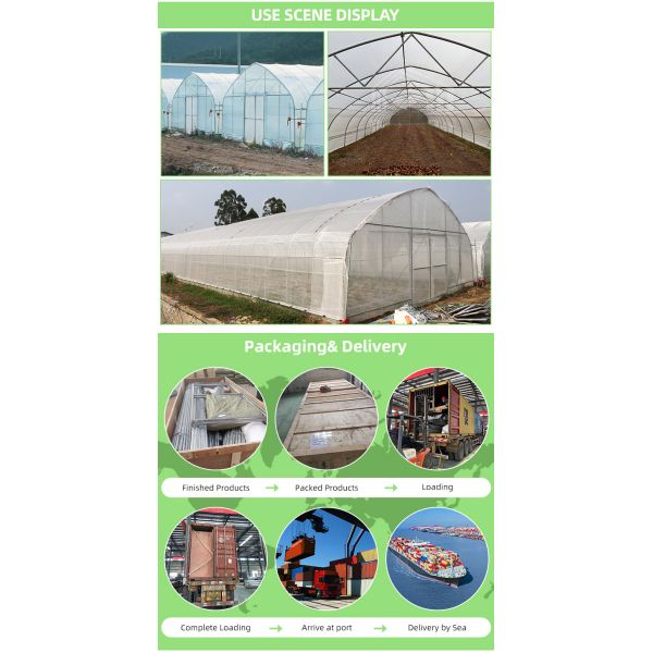 BAOLIDA Single-Span Greenhouse 6-10m Width 150/200micro PE Film Cover