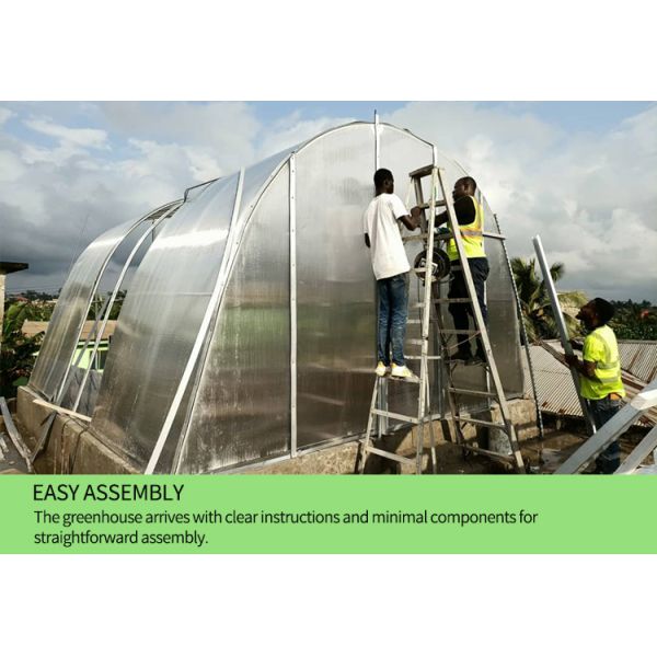 Sturdy UV Protected Polycarbonate Dryer Greenhouse with Hot Galvanized Steel Frame