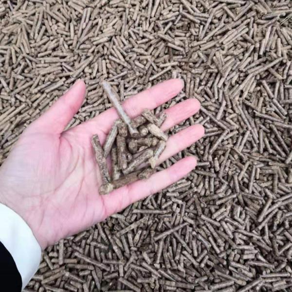 Fuel Eucalyptus Wood Pellets Machine Vertical Ring Die 3t/ H