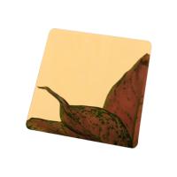 Comprimento de aço inoxidável dourado laminado da folha 2000mm do espelho 8K para a decoração de construção
