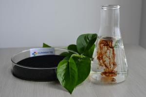 Fertilizer au fulvate de superpotassium 100
