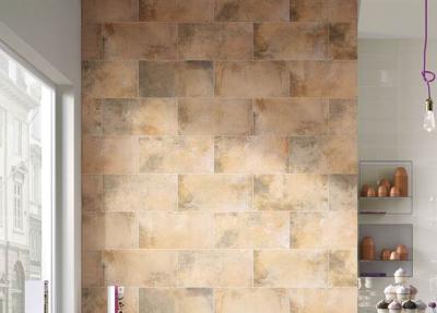 Tratamento de superfície decorativo exterior de Particels Matt do assoalho de telhas do assoalho do cimento