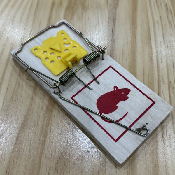 Mujeres de ratas de la casa de madera ratas trampa cazador asesino desechable y tipo de plaga ratones