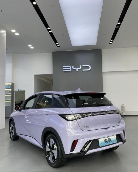 2025 Electric BYD Dolphins EV SUV Car 4 Seater Zero Emission