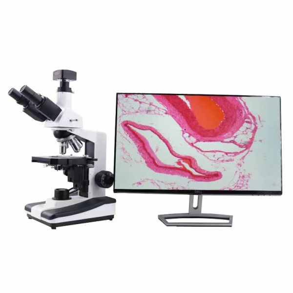 High Magnification 40x-1600x BINOCULAR Biological Microscope for Medical Teaching and Scientific Research