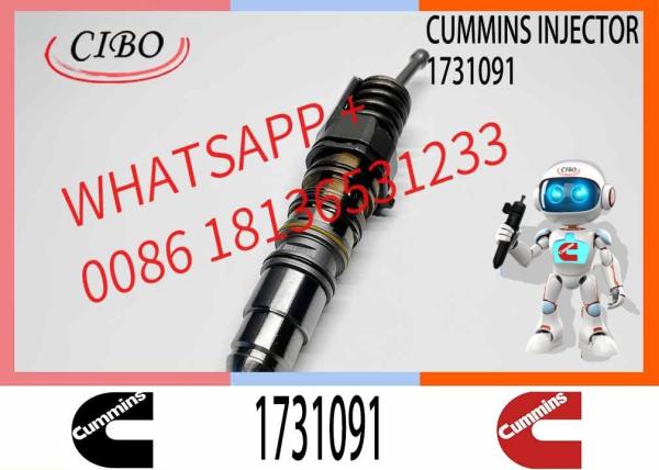 Fuel Injector 579251 4954648 1764365 1731091 1846350 570016 1846351 579261 1764364 for Scania