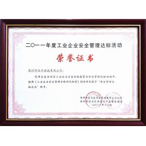 Shenzhen Lunfeng Technology Co., Ltd Сертификации