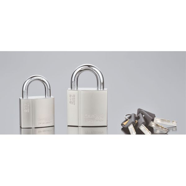 Rarlux Fine Workmanship Brass Lock Arc groove Electroplating Blade PADLOCK Industrial Safety Lockout Key Operated Durable High