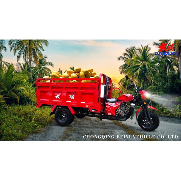 Chinese Manufacturers 300cc Self Loader Gas Powered Five Wheel Tricycle for Products