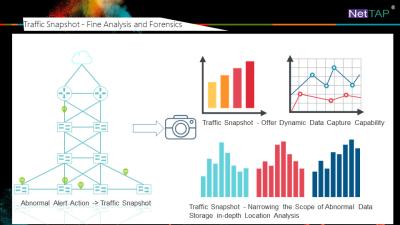 Monitoração da rede de NetInsight™ da MATRIZ de NetTAP® e lugar de falha anormais do instantâneo do tráfego de rede