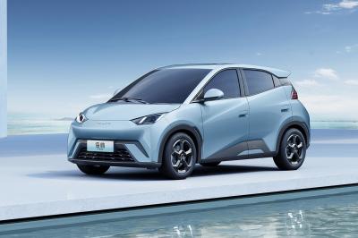BYD Carro Elétrico Gavião-marinho Volante de couro Botões multifuncionais