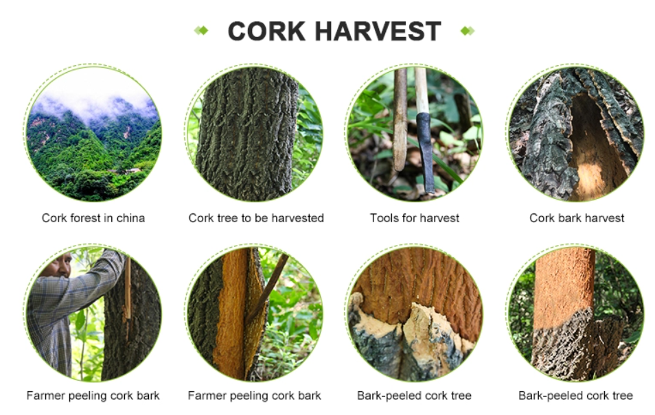 Natural Wooden Fitness Equipment Cork Yoga Mat Bag Private Label 70×17cm