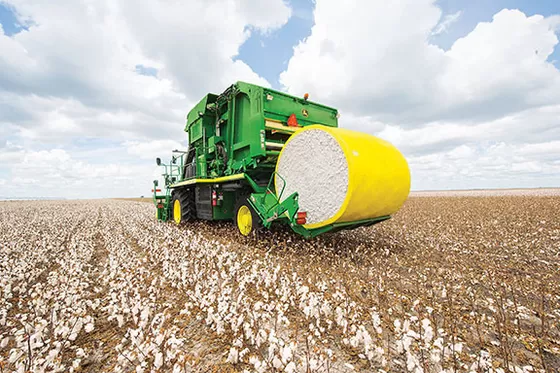 Best Selling Wrapping PE Wrap Cotton Packaging Film for Agricultural