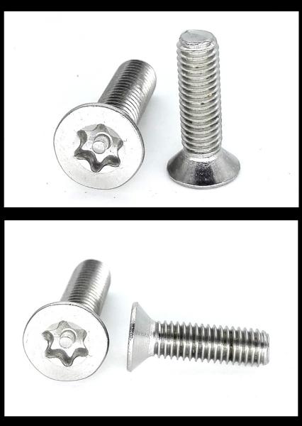 Stainless Steel Flat Torx Head Screw