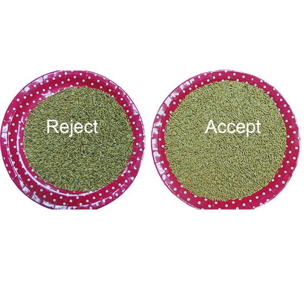 Sortisseur optique de graines de mil