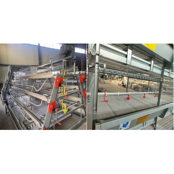Система клетки батареи SGS оборудования бройлера дней сельского хозяйства птицы 1-45
