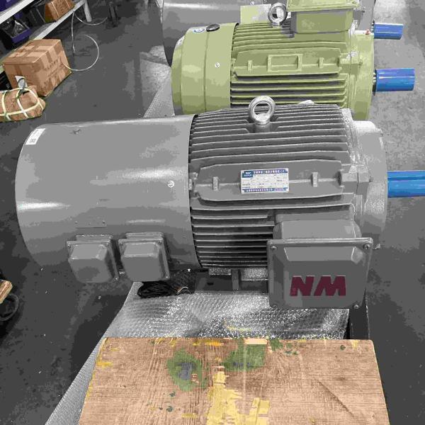 Moteur électrique de vitesse variable d'acier au carbone triphasé avec du CE