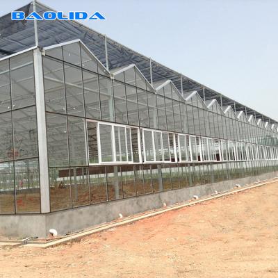 O tipo gótico estrutura estável agrícola de Venlo da estufa montou facilmente
